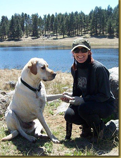 An Eagle in the Pines