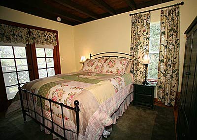 An Eagle in the Pines