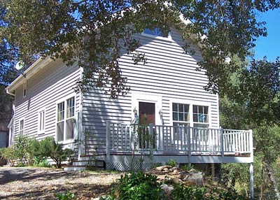 An Eagle in the Pines