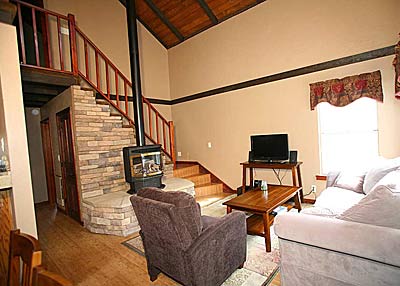 An Eagle in the Pines