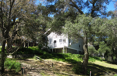 Eagle in the Pines Cabin